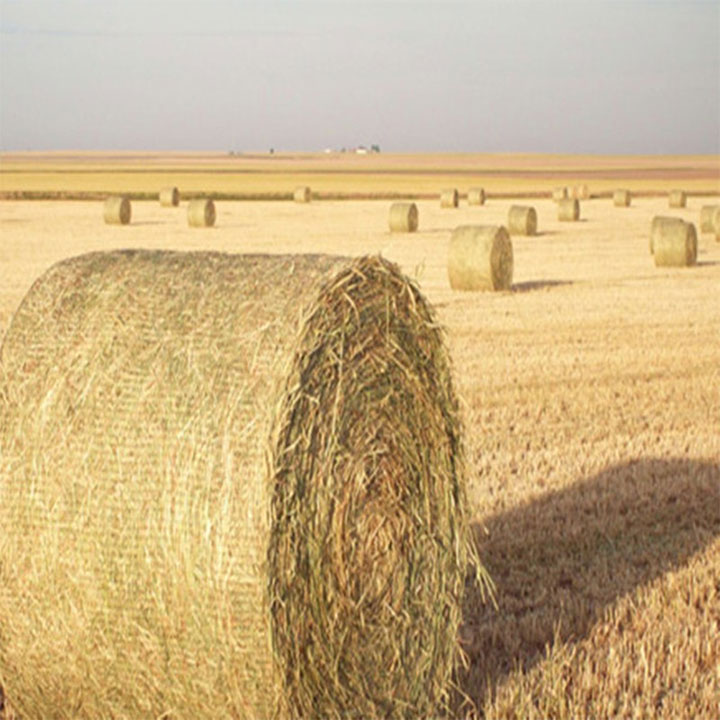 Red de envoltura de balas biodegradable de HDPE para agricultura